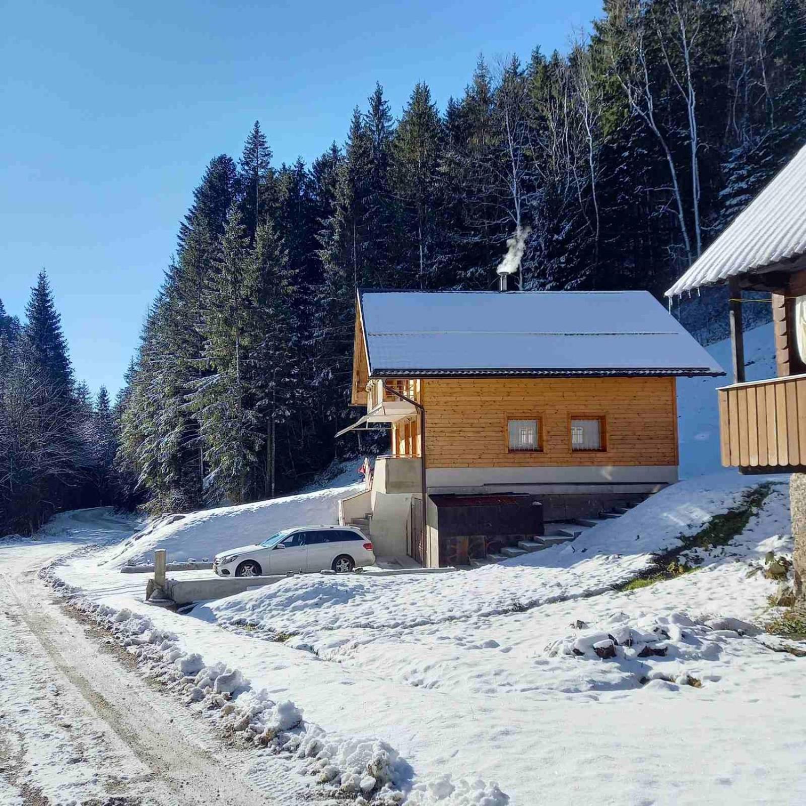 Hisa Lunna - Apartments In A Forest Paradise Vitanje 외부 사진